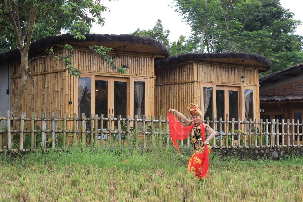 Sawah Ijen Hotel Licin Luaran gambar