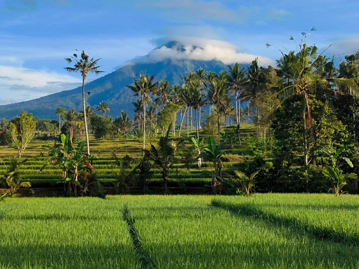 Sawah Ijen Hotel Licin Luaran gambar