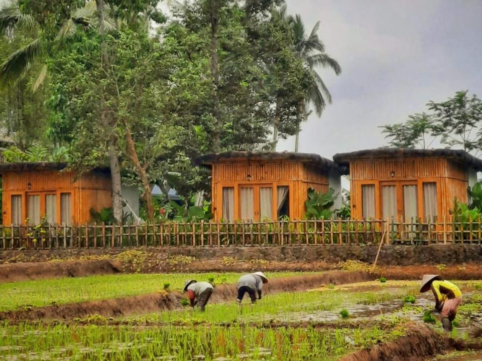 Sawah Ijen Hotel Licin Luaran gambar