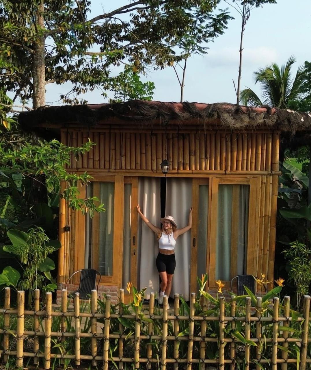 Sawah Ijen Hotel Licin Luaran gambar