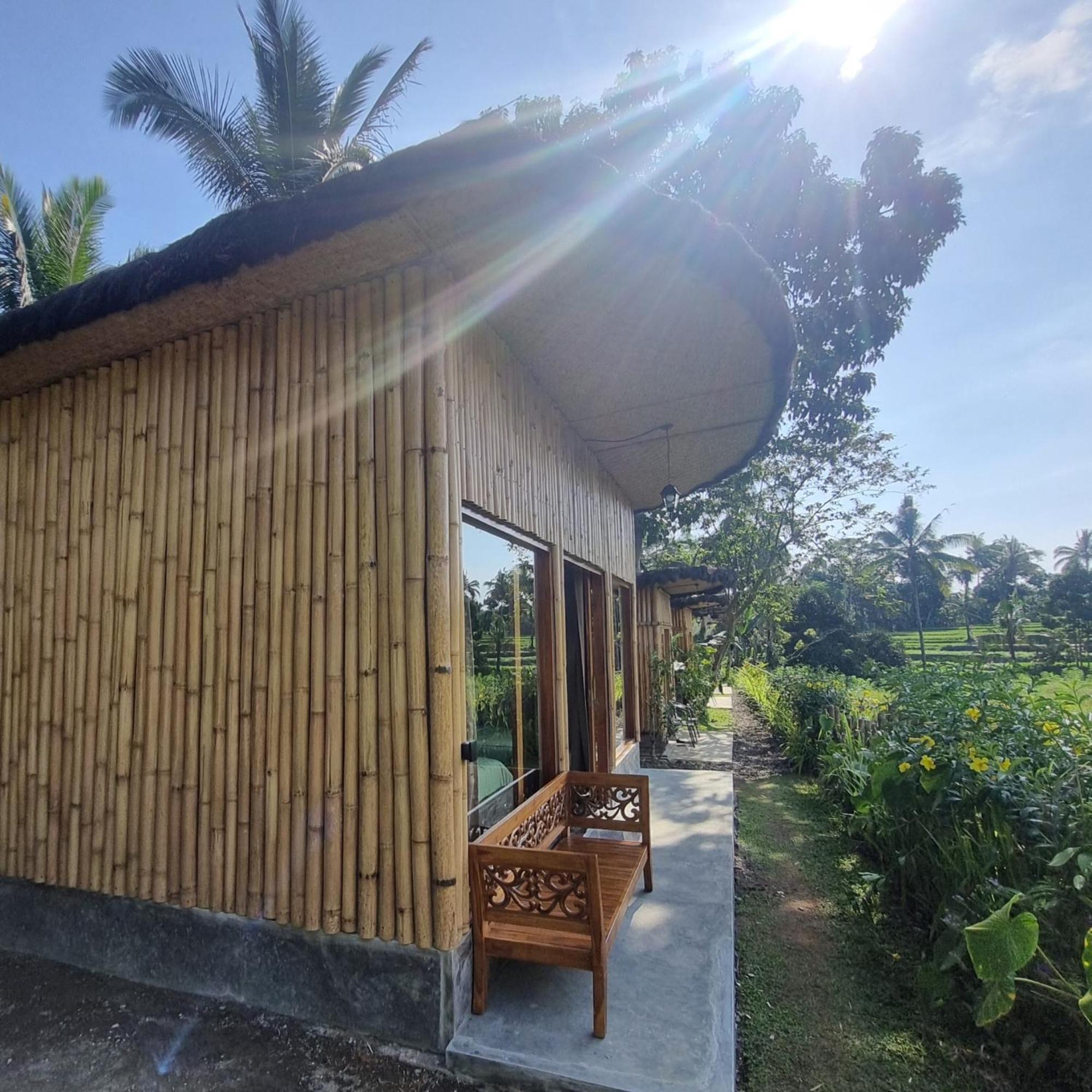 Sawah Ijen Hotel Licin Luaran gambar