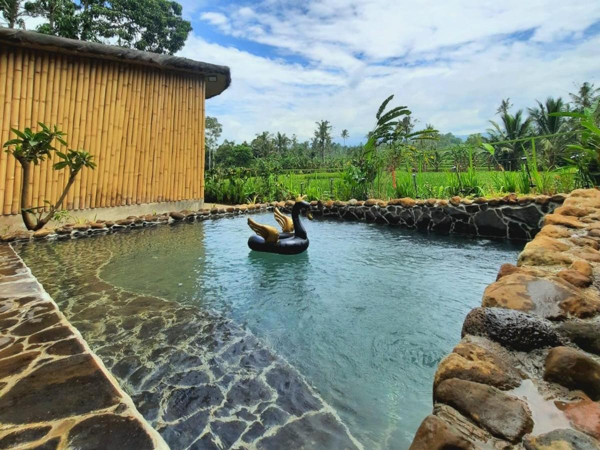 Sawah Ijen Hotel Licin Luaran gambar